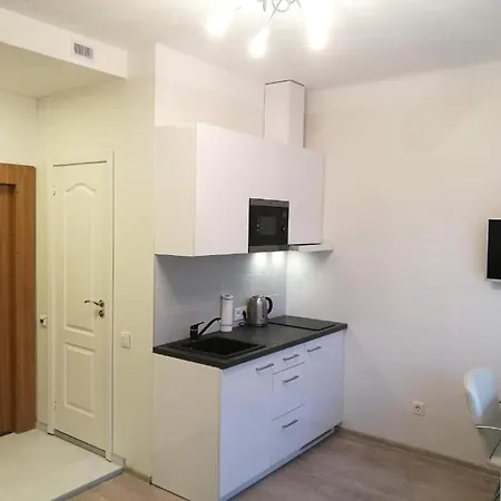 Vilnius Central Apartmen Vilnius