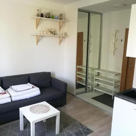 Appartamento Vilnius Central Apartmen Vilnius