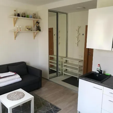 Vilnius Central Apartmen Vilnius